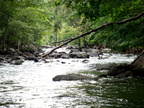 IMG 4146